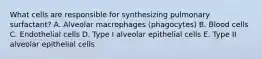 What cells are responsible for synthesizing pulmonary surfactant? A. Alveolar macrophages (phagocytes) B. Blood cells C. Endothelial cells D. Type I alveolar epithelial cells E. Type II alveolar epithelial cells