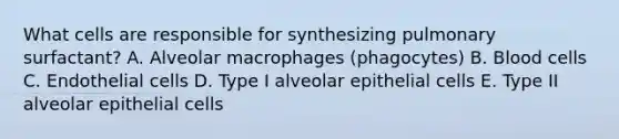 What cells are responsible for synthesizing pulmonary surfactant? A. Alveolar macrophages (phagocytes) B. Blood cells C. Endothelial cells D. Type I alveolar epithelial cells E. Type II alveolar epithelial cells