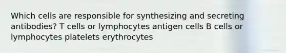 Which cells are responsible for synthesizing and secreting antibodies? T cells or lymphocytes antigen cells B cells or lymphocytes platelets erythrocytes