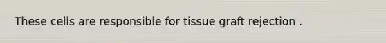 These cells are responsible for tissue graft rejection .