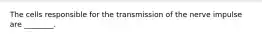 The cells responsible for the transmission of the nerve impulse are ________.