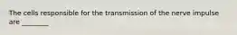 The cells responsible for the transmission of the nerve impulse are ________