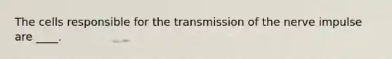 The cells responsible for the transmission of the nerve impulse are ____.