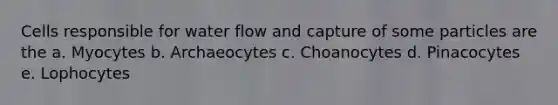 Cells responsible for water flow and capture of some particles are the a. Myocytes b. Archaeocytes c. Choanocytes d. Pinacocytes e. Lophocytes