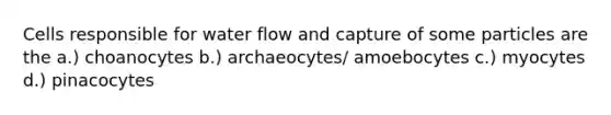 Cells responsible for water flow and capture of some particles are the a.) choanocytes b.) archaeocytes/ amoebocytes c.) myocytes d.) pinacocytes