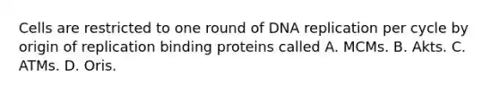 Cells are restricted to one round of DNA replication per cycle by origin of replication binding proteins called A. MCMs. B. Akts. C. ATMs. D. Oris.