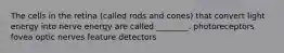 The cells in the retina (called rods and cones) that convert light energy into nerve energy are called ________. photoreceptors fovea optic nerves feature detectors