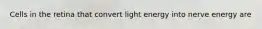 Cells in the retina that convert light energy into nerve energy are