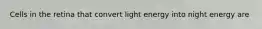 Cells in the retina that convert light energy into night energy are