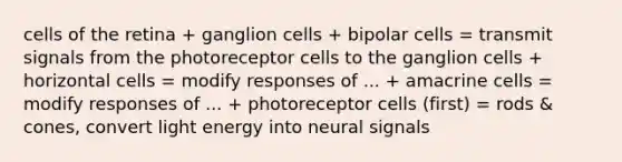 cells of the retina + ganglion cells + bipolar cells = transmit signals from the photoreceptor cells to the ganglion cells + horizontal cells = modify responses of ... + amacrine cells = modify responses of ... + photoreceptor cells (first) = rods & cones, convert light energy into neural signals