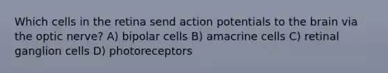 Which cells in the retina send action potentials to the brain via the optic nerve? A) bipolar cells B) amacrine cells C) retinal ganglion cells D) photoreceptors