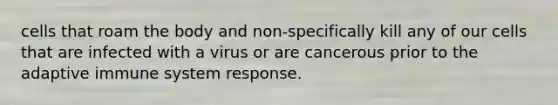 cells that roam the body and non-specifically kill any of our cells that are infected with a virus or are cancerous prior to the adaptive immune system response.