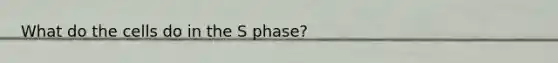 What do the cells do in the S phase?