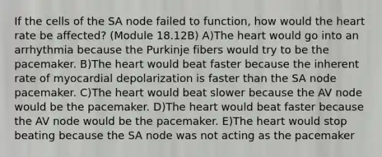 If the cells of the SA node failed to function, how would the heart rate be affected? (Module 18.12B) A)The heart would go into an arrhythmia because the Purkinje fibers would try to be the pacemaker. B)The heart would beat faster because the inherent rate of myocardial depolarization is faster than the SA node pacemaker. C)The heart would beat slower because the AV node would be the pacemaker. D)The heart would beat faster because the AV node would be the pacemaker. E)The heart would stop beating because the SA node was not acting as the pacemaker