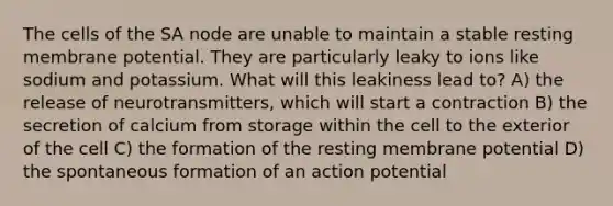 The cells of the SA node are unable to maintain a stable resting membrane potential. They are particularly leaky to ions like sodium and potassium. What will this leakiness lead to? A) the release of neurotransmitters, which will start a contraction B) the secretion of calcium from storage within the cell to the exterior of the cell C) the formation of the resting membrane potential D) the spontaneous formation of an action potential