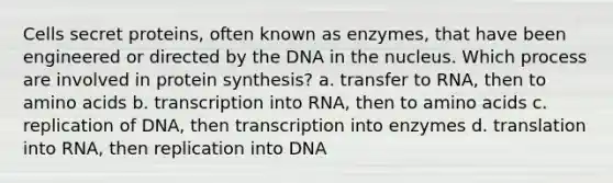 Cells secret proteins, often known as enzymes, that have been engineered or directed by the DNA in the nucleus. Which process are involved in <a href='https://www.questionai.com/knowledge/kVyphSdCnD-protein-synthesis' class='anchor-knowledge'>protein synthesis</a>? a. transfer to RNA, then to <a href='https://www.questionai.com/knowledge/k9gb720LCl-amino-acids' class='anchor-knowledge'>amino acids</a> b. transcription into RNA, then to amino acids c. replication of DNA, then transcription into enzymes d. translation into RNA, then replication into DNA