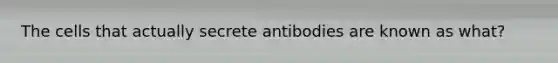 The cells that actually secrete antibodies are known as what?