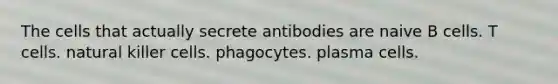 The cells that actually secrete antibodies are naive B cells. T cells. natural killer cells. phagocytes. plasma cells.