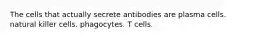 The cells that actually secrete antibodies are plasma cells. natural killer cells. phagocytes. T cells.