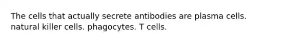 The cells that actually secrete antibodies are plasma cells. natural killer cells. phagocytes. T cells.