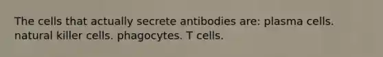 The cells that actually secrete antibodies are: plasma cells. natural killer cells. phagocytes. T cells.