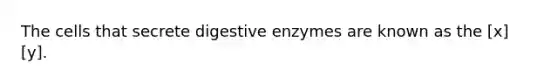 The cells that secrete digestive enzymes are known as the [x] [y].