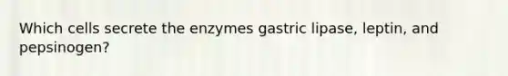 Which cells secrete the enzymes gastric lipase, leptin, and pepsinogen?