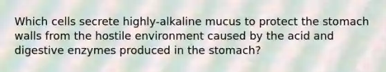 Which cells secrete highly-alkaline mucus to protect the stomach walls from the hostile environment caused by the acid and digestive enzymes produced in the stomach?