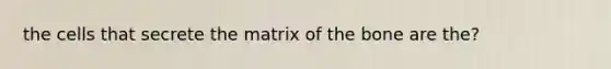 the cells that secrete the matrix of the bone are the?