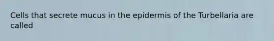 Cells that secrete mucus in <a href='https://www.questionai.com/knowledge/kBFgQMpq6s-the-epidermis' class='anchor-knowledge'>the epidermis</a> of the Turbellaria are called