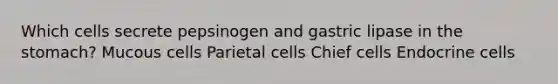 Which cells secrete pepsinogen and gastric lipase in the stomach? Mucous cells Parietal cells Chief cells Endocrine cells