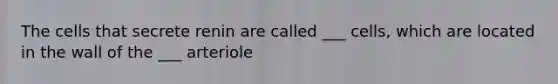 The cells that secrete renin are called ___ cells, which are located in the wall of the ___ arteriole