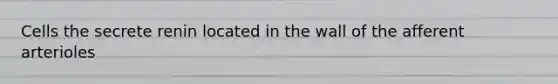 Cells the secrete renin located in the wall of the afferent arterioles