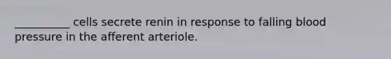 __________ cells secrete renin in response to falling blood pressure in the afferent arteriole.