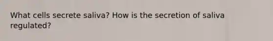 What cells secrete saliva? How is the secretion of saliva regulated?