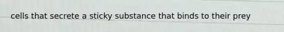 cells that secrete a sticky substance that binds to their prey