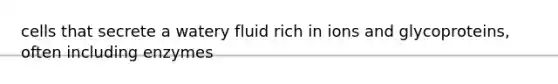 cells that secrete a watery fluid rich in ions and glycoproteins, often including enzymes