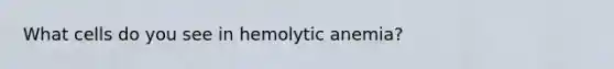 What cells do you see in hemolytic anemia?