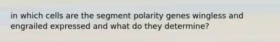 in which cells are the segment polarity genes wingless and engrailed expressed and what do they determine?