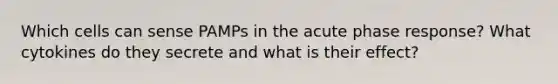 Which cells can sense PAMPs in the acute phase response? What cytokines do they secrete and what is their effect?