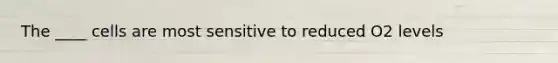 The ____ cells are most sensitive to reduced O2 levels