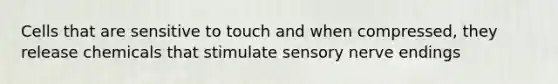 Cells that are sensitive to touch and when compressed, they release chemicals that stimulate sensory nerve endings