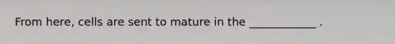 From here, cells are sent to mature in the ____________ .