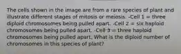 The cells shown in the image are from a rare species of plant and illustrate different stages of mitosis or meiosis. -Cell 1 = three diploid chromosomes being pulled apart. -Cell 2 = six haploid chromosomes being pulled apart. -Cell 3 = three haploid chromosomes being pulled apart. What is the diploid number of chromosomes in this species of plant?