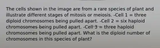 The cells shown in the image are from a rare species of plant and illustrate different stages of mitosis or meiosis. -Cell 1 = three diploid chromosomes being pulled apart. -Cell 2 = six haploid chromosomes being pulled apart. -Cell 3 = three haploid chromosomes being pulled apart. What is the diploid number of chromosomes in this species of plant?