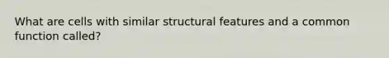 What are cells with similar structural features and a common function called?