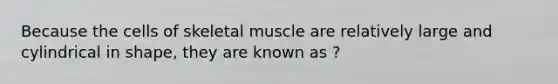 Because the cells of skeletal muscle are relatively large and cylindrical in shape, they are known as ?