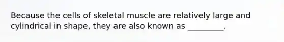 Because the cells of skeletal muscle are relatively large and cylindrical in shape, they are also known as _________.