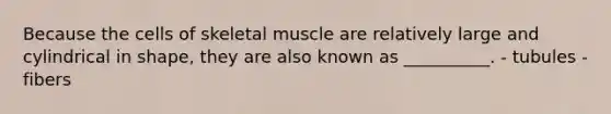 Because the cells of skeletal muscle are relatively large and cylindrical in shape, they are also known as __________. - tubules -fibers