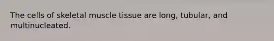 The cells of skeletal muscle tissue are long, tubular, and multinucleated.